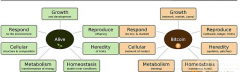 比特币是一种活的生命