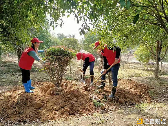 桐城龙腾街道：共建绿色宜居家乡助力村落振兴