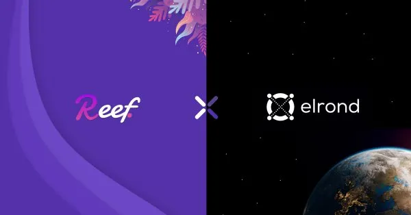 Reef Finance项目进度周报（2021.03.03-03.09)