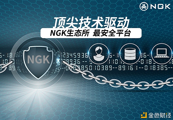 2021年NGK代币有或许冲破100美金吗？