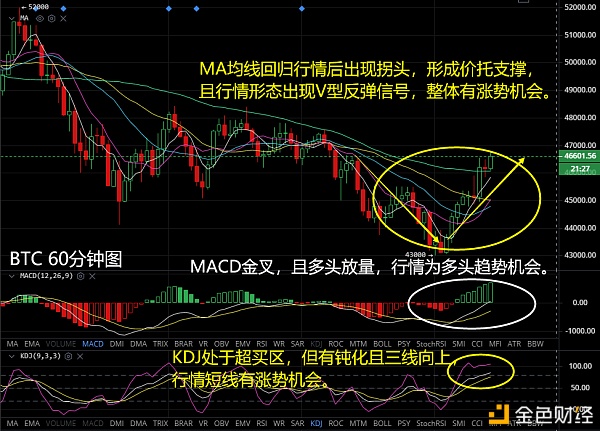 跌势有所逆转多头主力或完成构造