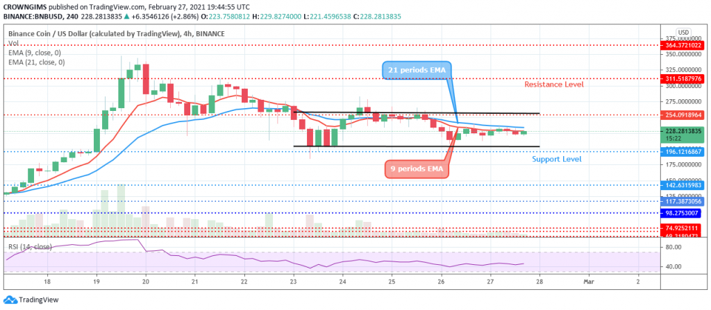 BINANCE（BNBUSD）代价或许会担任在254美元和196美元水平内波动