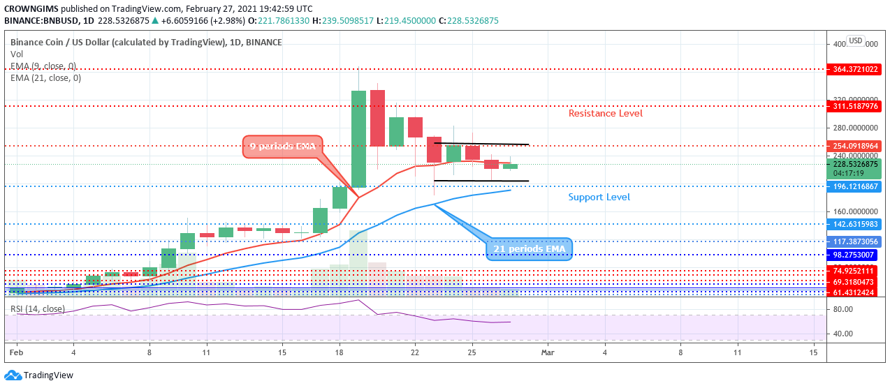 BINANCE（BNBUSD）代价或许会担任在254美元和196美元水平内波动