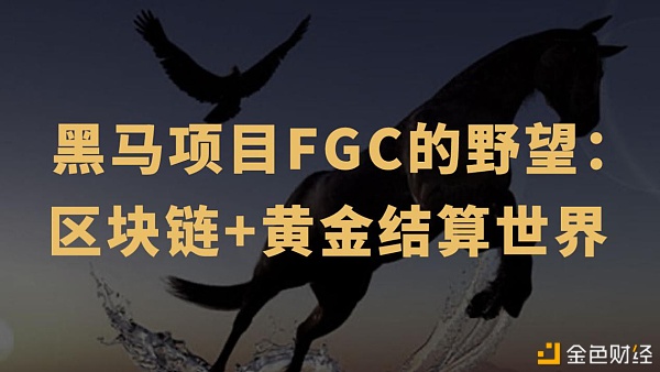 区块链革命：黑马FGC