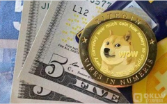 为什么市场选择狗狗币？