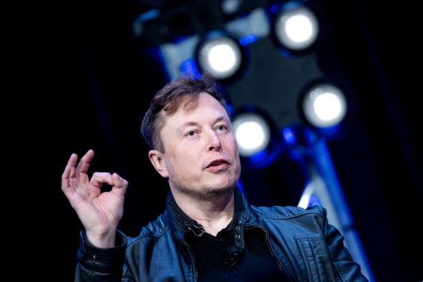 凭据埃隆·马斯克（Elon Musk）的说法，谁能成为最大的狗币（DOGE）鲸鱼？