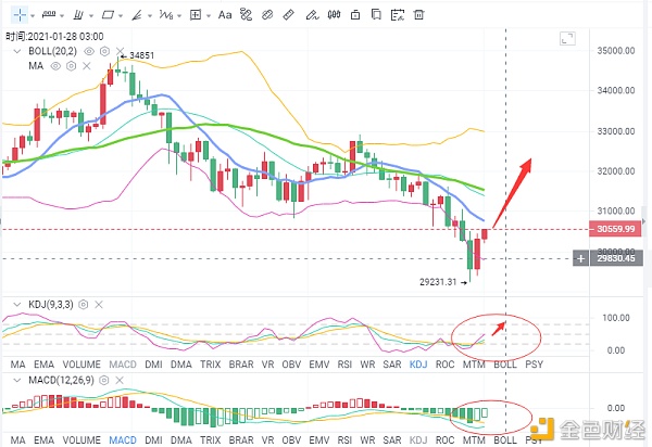 币海引路人：BTC再次回调破3万晚间反弹时奥秘抓住