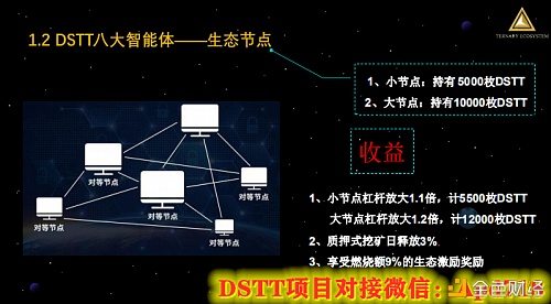 DSTT(大嫂)项目介绍