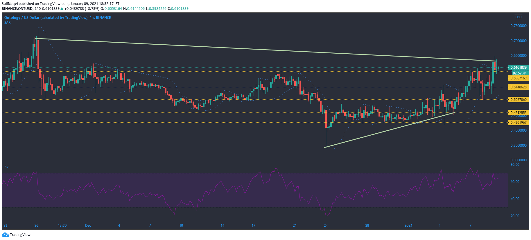 XRP，制造商，本体代价阐发：1月9日