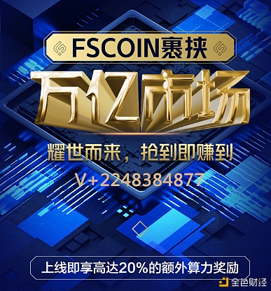 FSCoin入门级观点