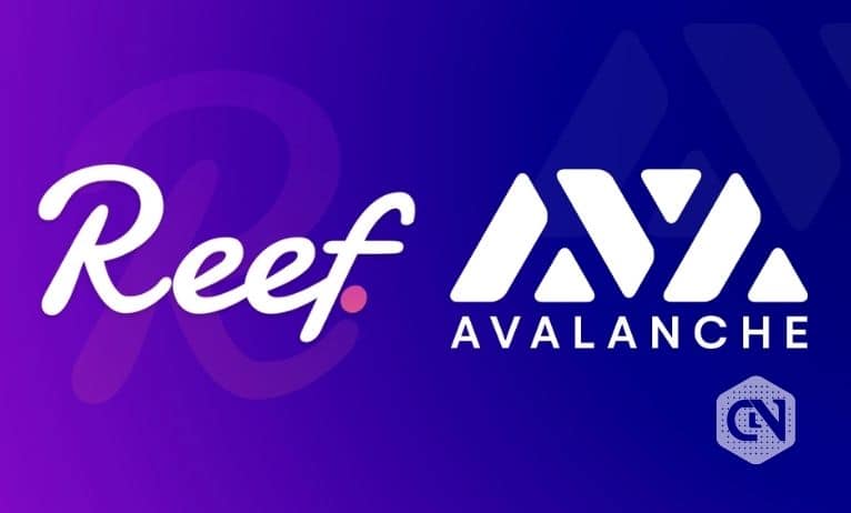 Reef Finance扩展了其DeFi产品； 与Avalanche互助