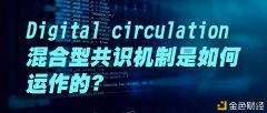 Digitalcirculation殽杂型共鸣机制是如何运作的？