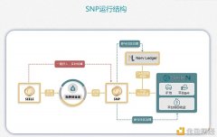 关于SNP你必需知道的十件事（干货合集）