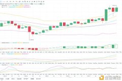 大饼剑指30000美金ETH再破新高