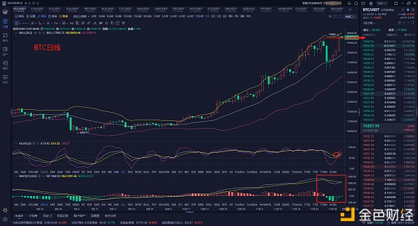 BTC又创新高该何去何从？