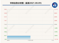 币圈大佬实名举报：百亿牛股涉嫌财政造假、实控人