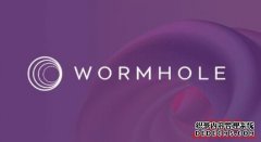 申领资格开放查询！Wormhole公布刊行、空投「W」