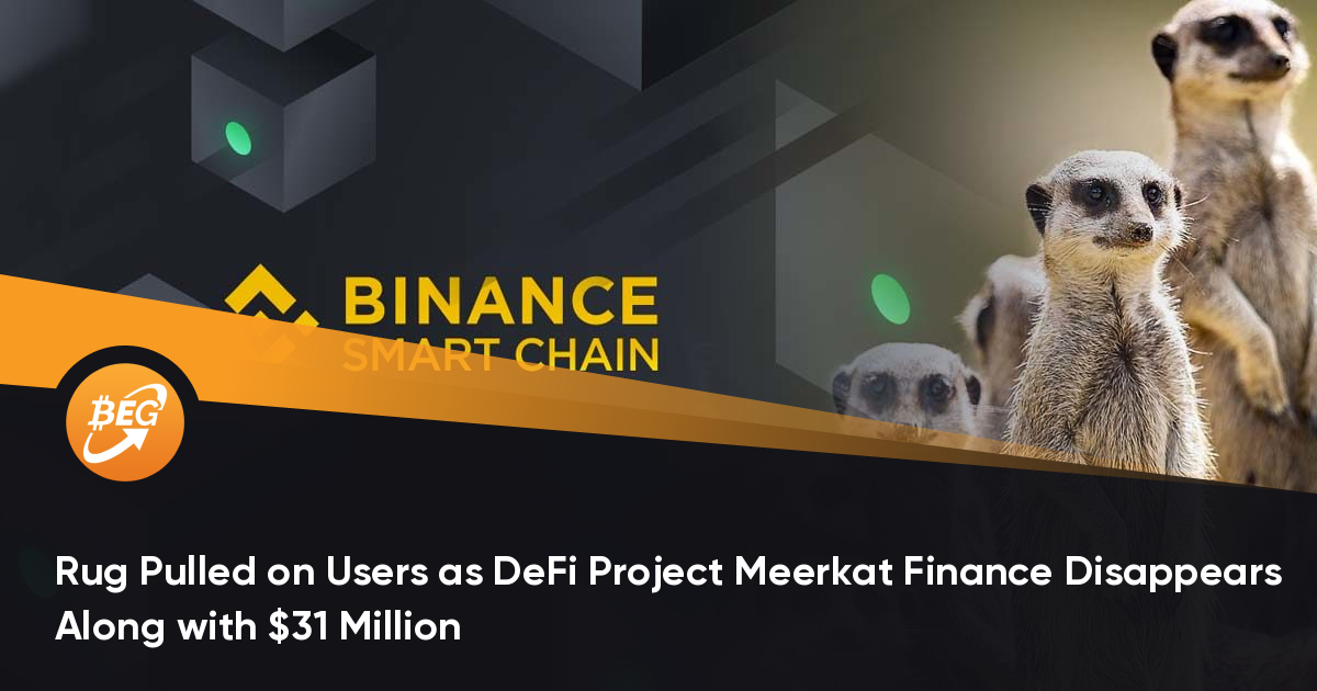 随着DeFi项目Meerkat财务消失以及3100万美元，地毯吸引了用户
